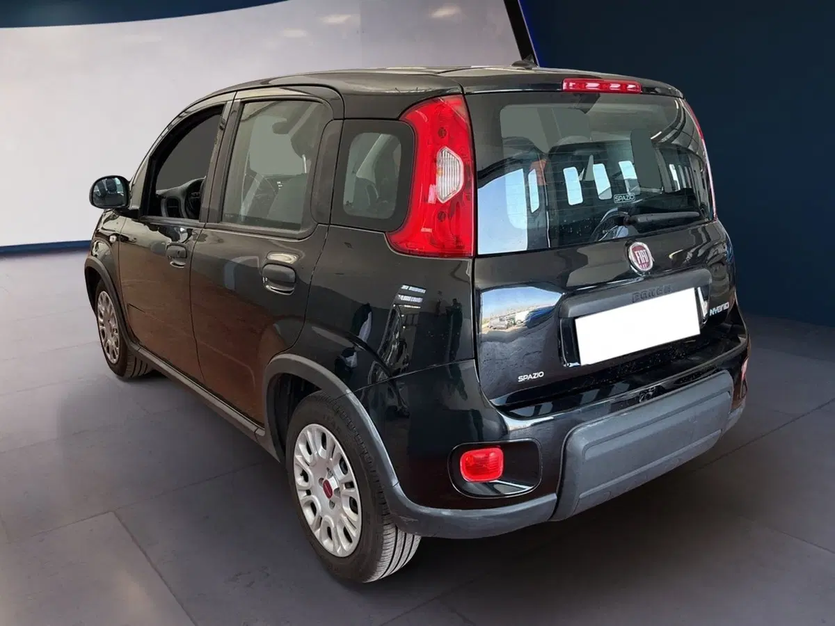 Fiat Panda usata a Torino (6)