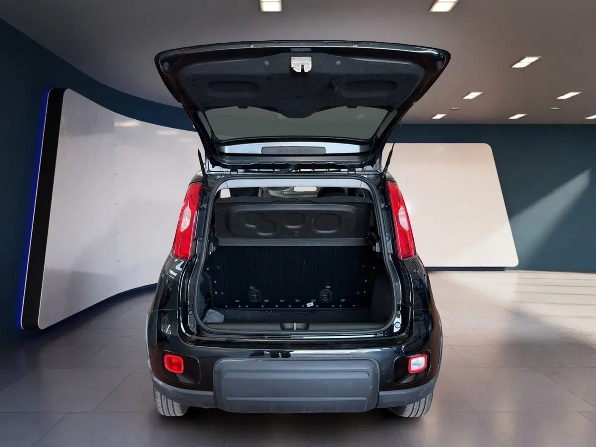 Fiat Panda usata a Torino (7)