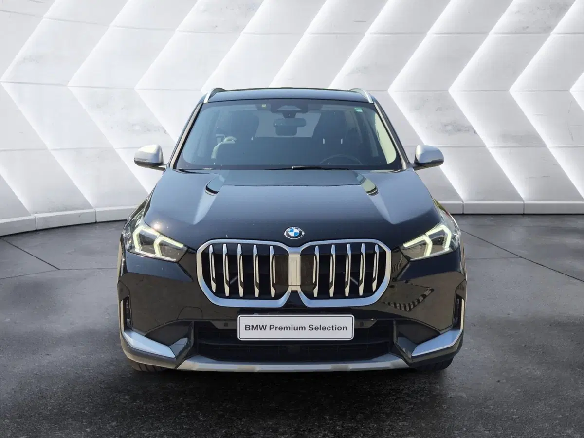 BMW X1 usata  (2)