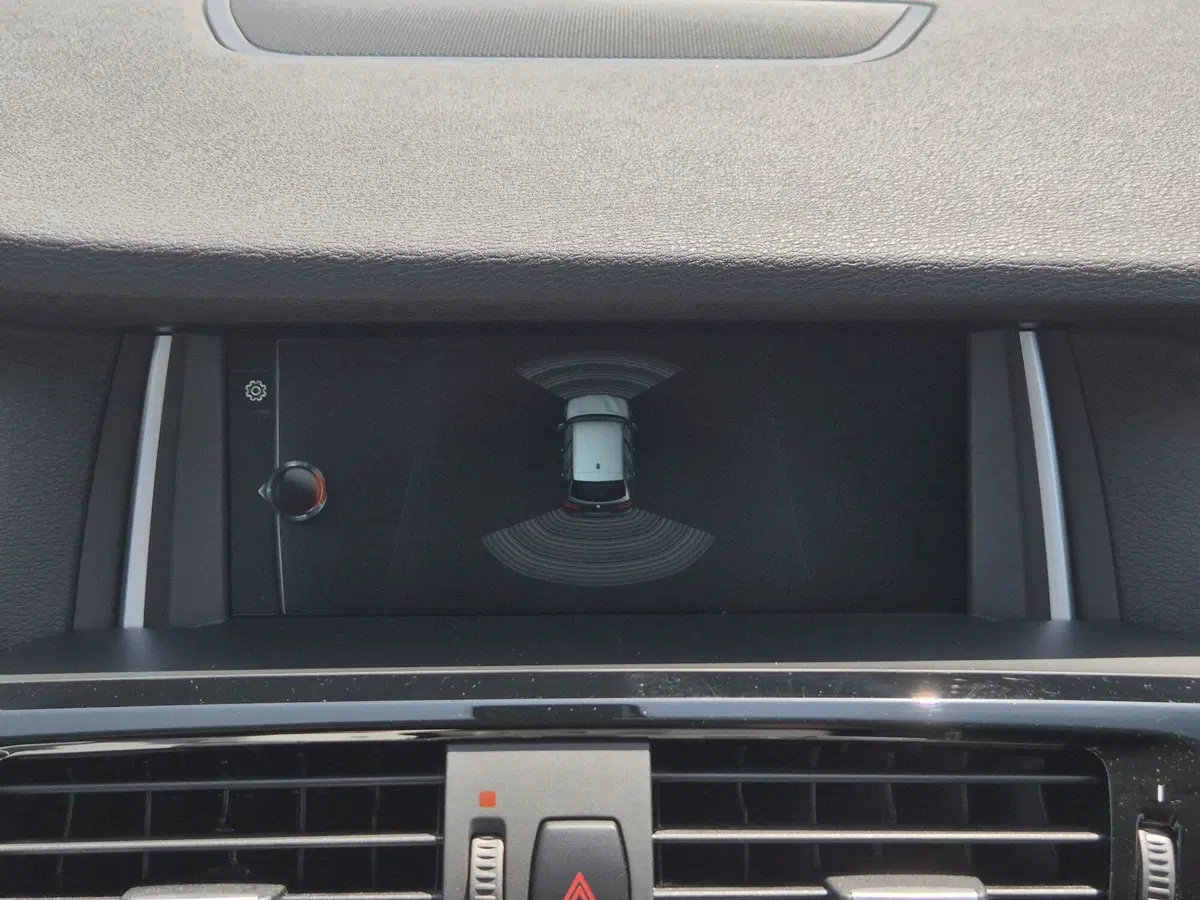 BMW X3 usata  (15)