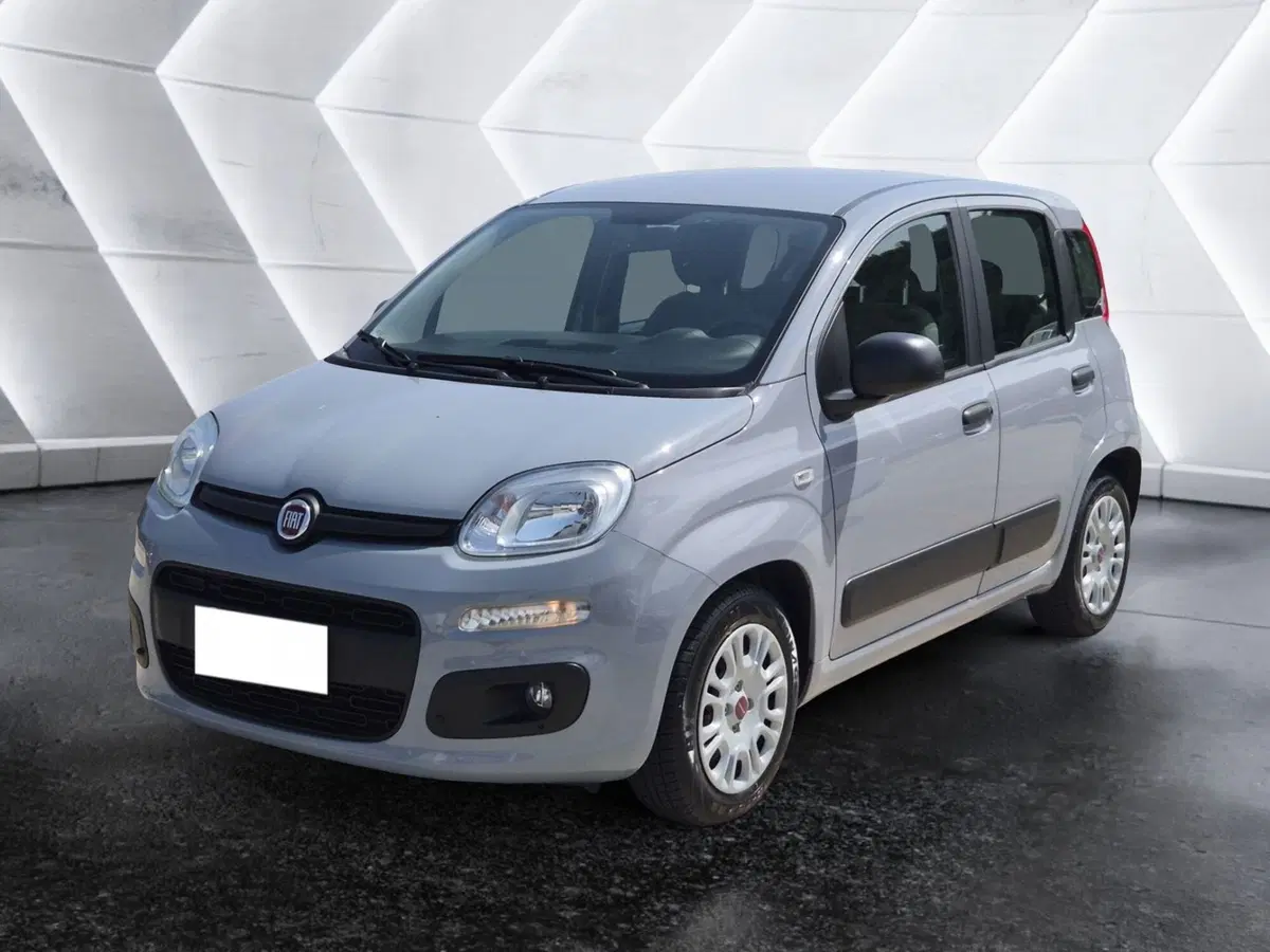Fiat Panda usata 