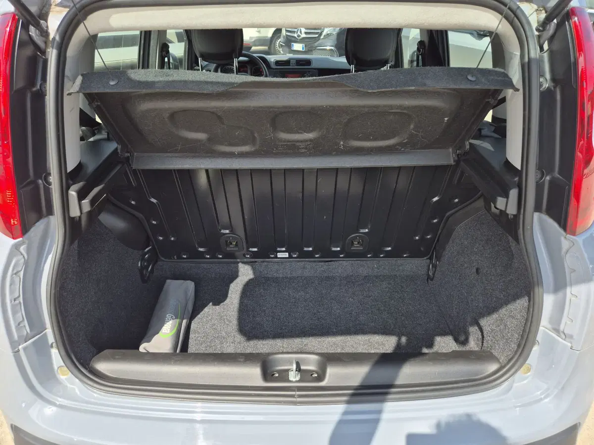 Fiat Panda usata  (11)