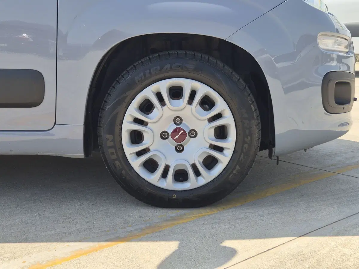 Fiat Panda usata  (12)