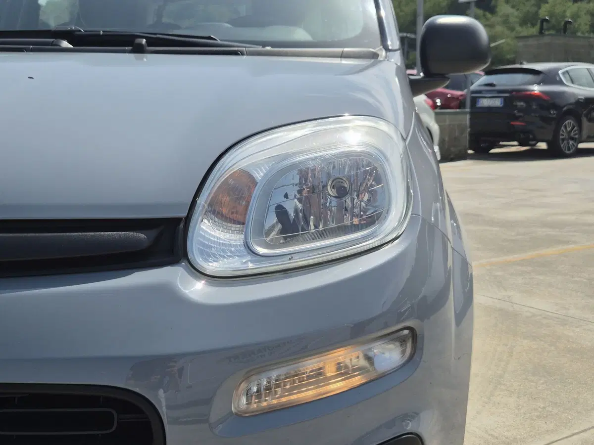 Fiat Panda usata  (14)