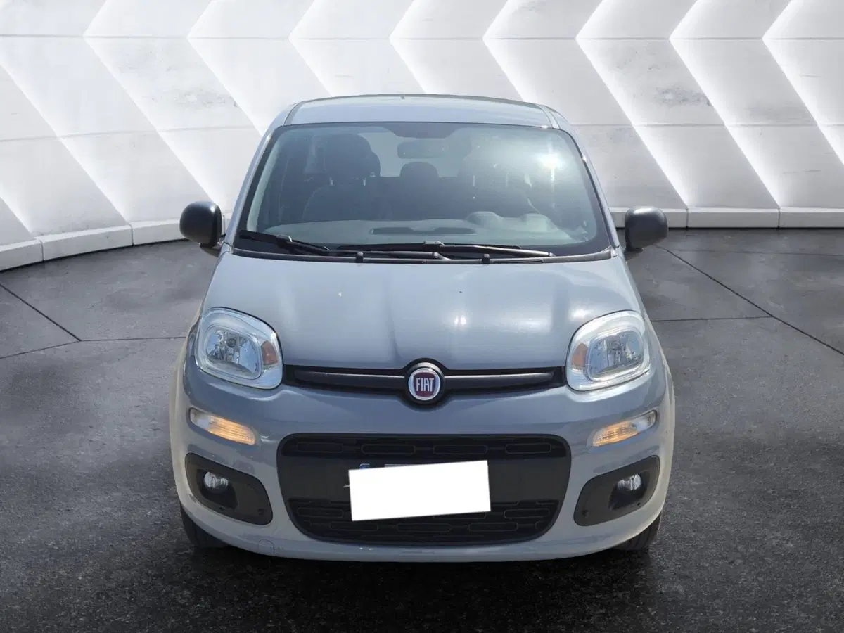Fiat Panda usata  (2)