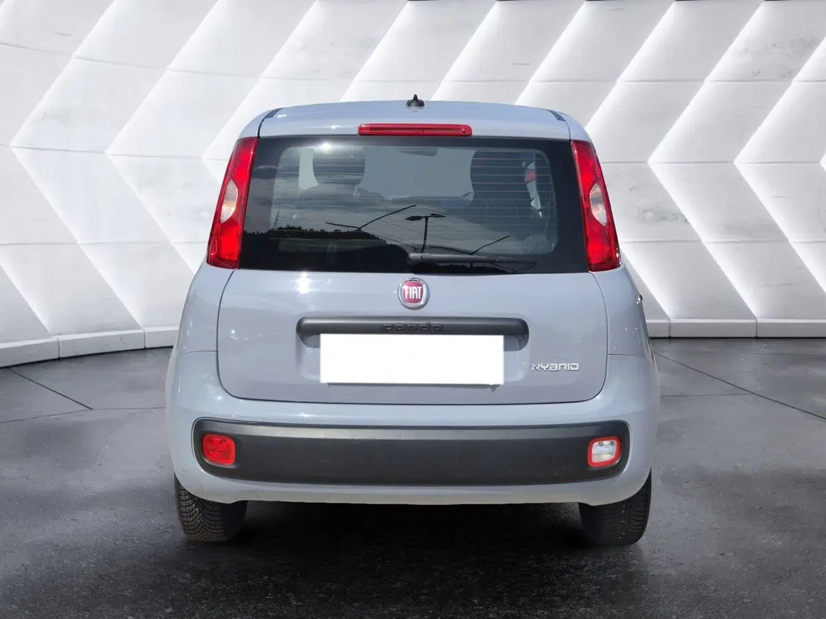 Fiat Panda usata  (3)