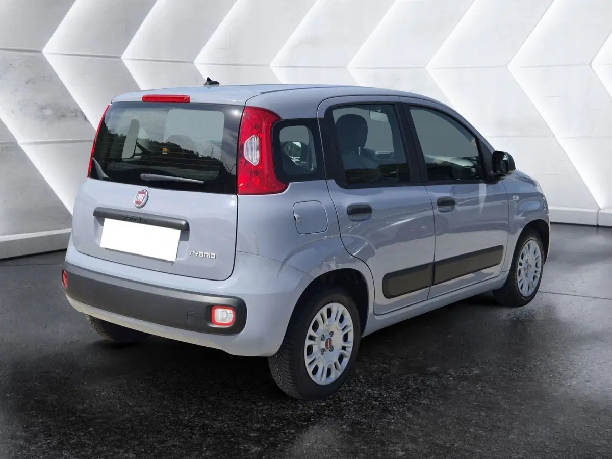 Fiat Panda usata  (4)