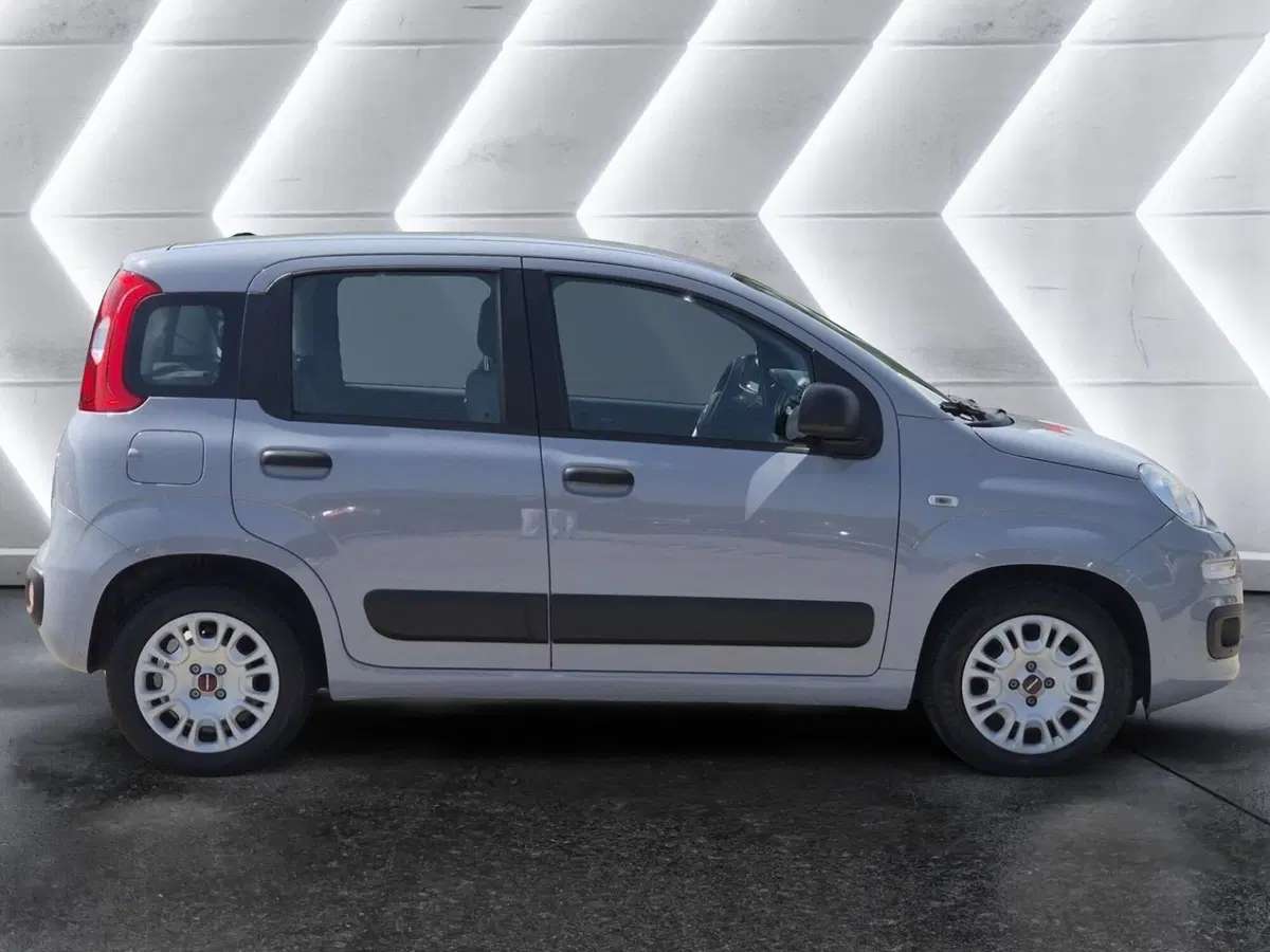 Fiat Panda usata  (5)