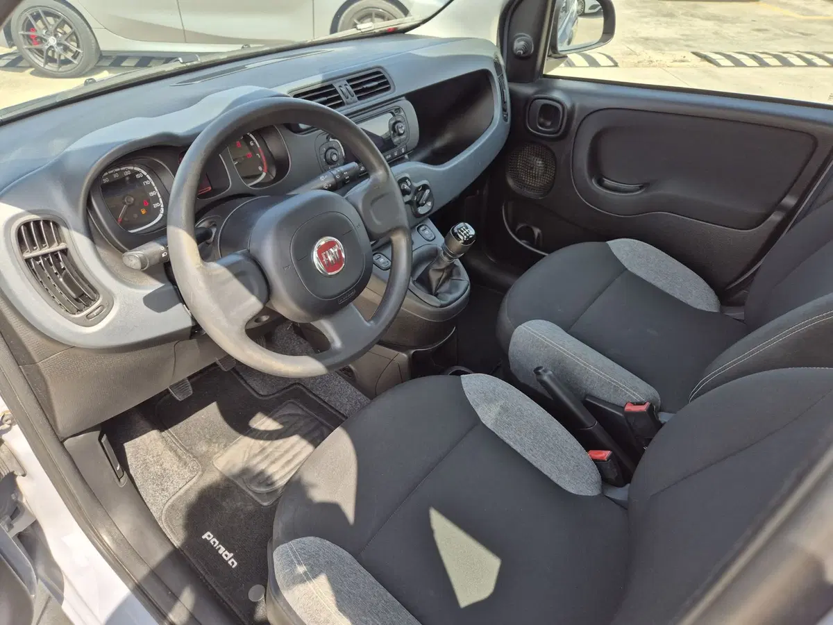 Fiat Panda usata  (6)