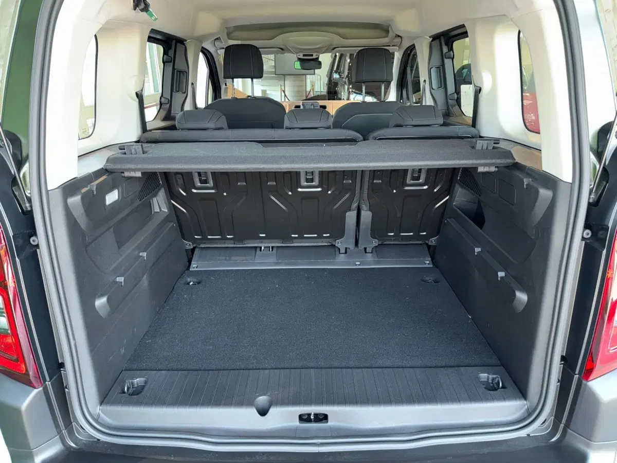 Fiat Qubo nuova a Reggio Emilia (19)