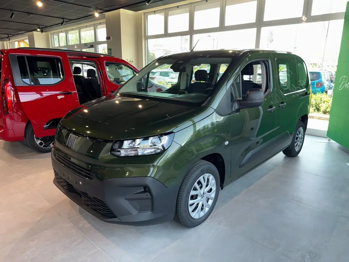 Fiat Qubo nuova a Reggio Emilia (4)