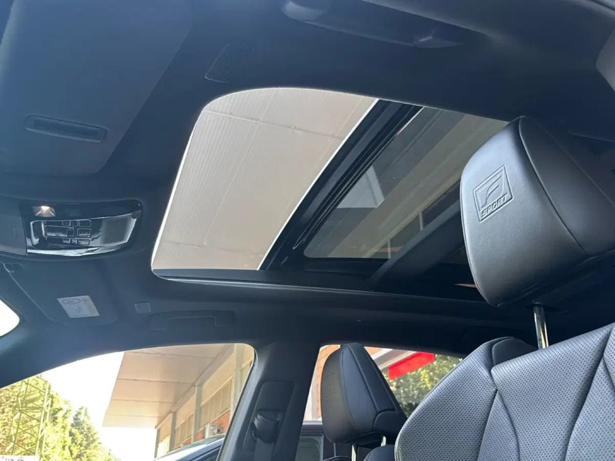 Lexus RX usata a Bologna (14)