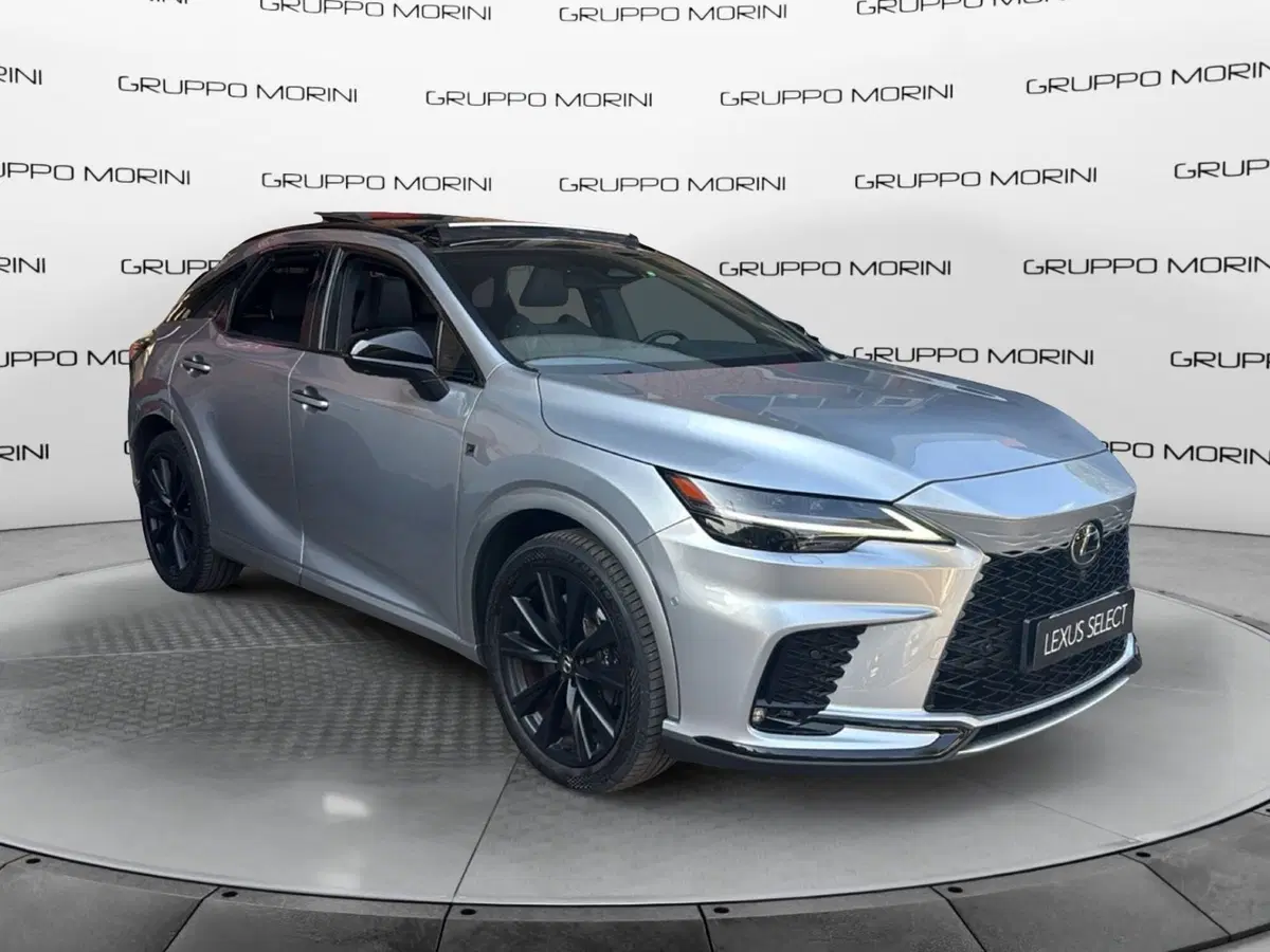 Lexus RX usata a Bologna (2)