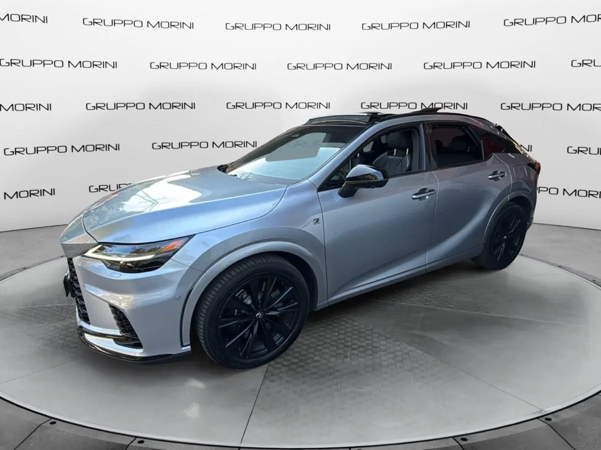 Lexus RX usata a Bologna (3)