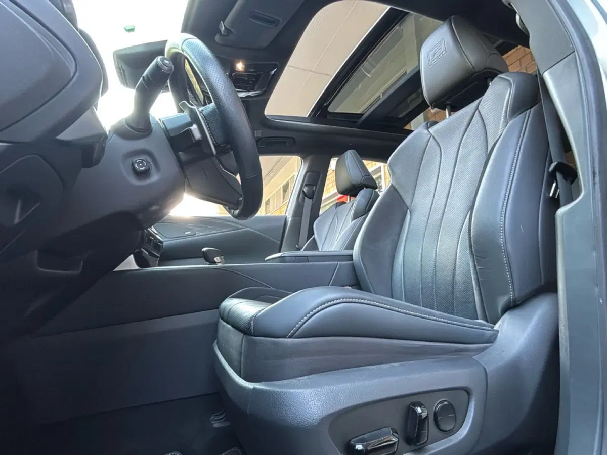 Lexus RX usata a Bologna (8)