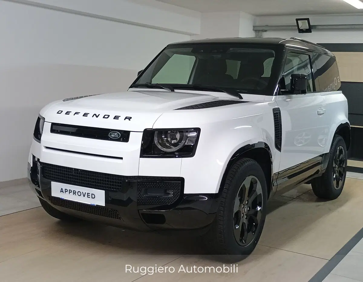 Land Rover Defender usata a Catanzaro