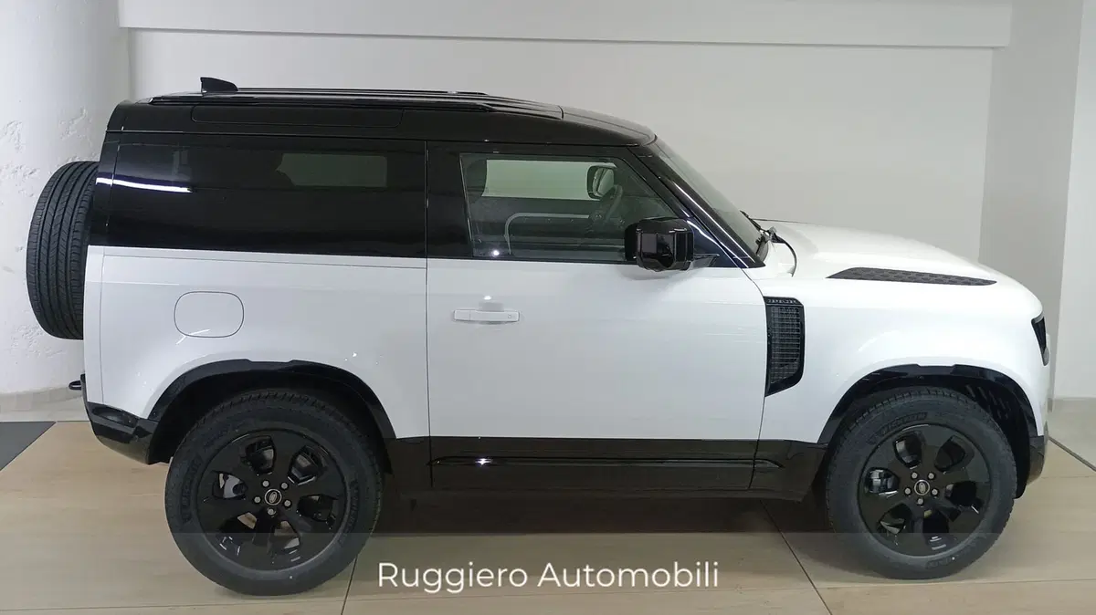 Land Rover Defender usata a Catanzaro (4)