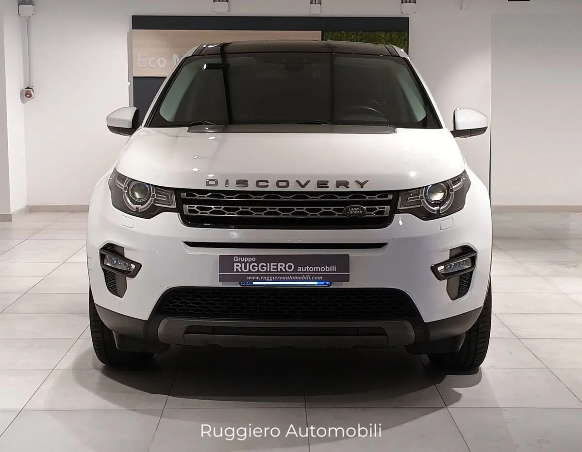 Land Rover Discovery Sport usata a Catanzaro (3)