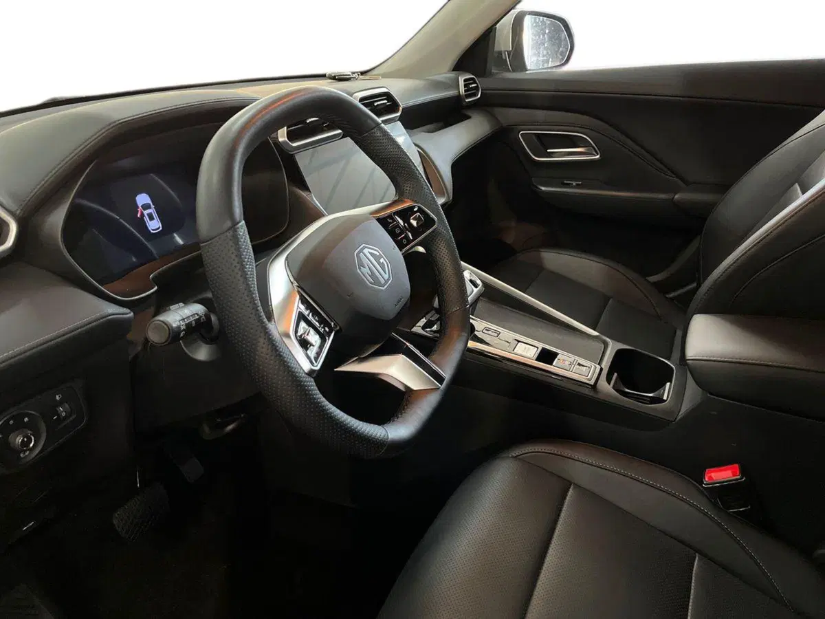 Mg ZS EV usata a Bari (7)