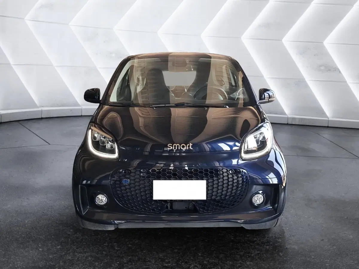 smart Fortwo usata a Salerno (2)