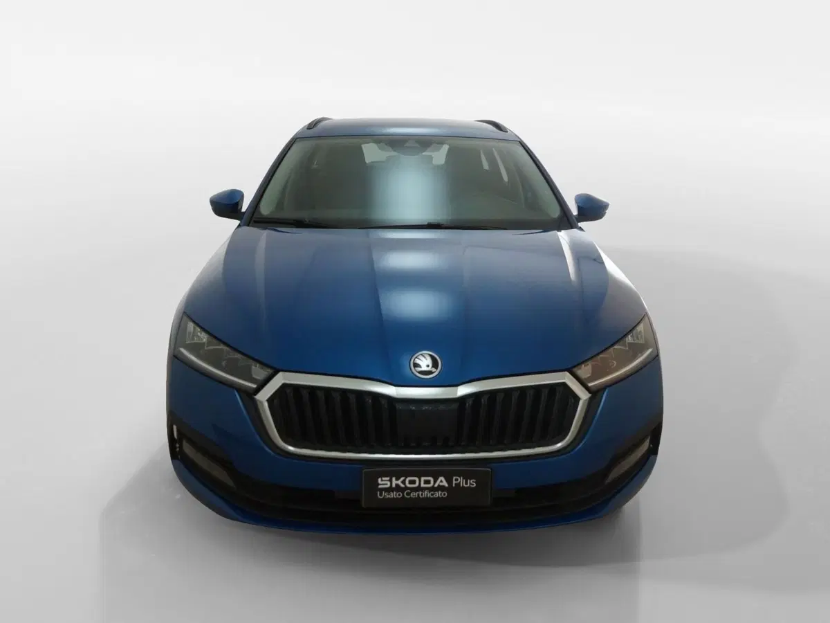 Skoda Octavia Station Wagon usata a Torino (2)
