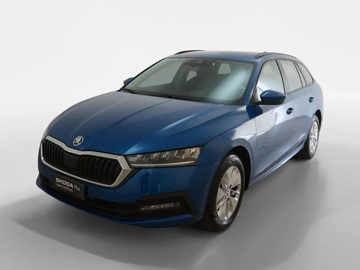 Skoda Octavia Station Wagon usata a Torino (3)