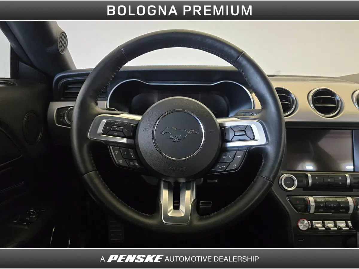 Ford Mustang Coupé usata a Bologna (16)