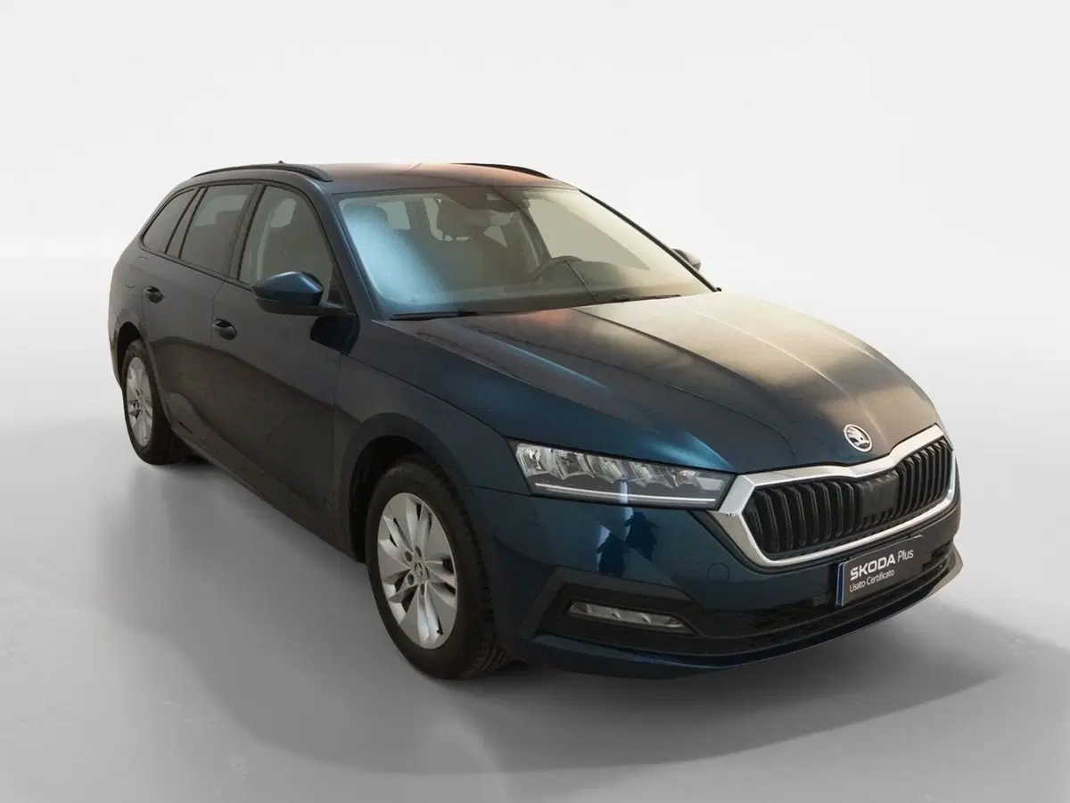 Skoda Octavia Station Wagon usata a Torino
