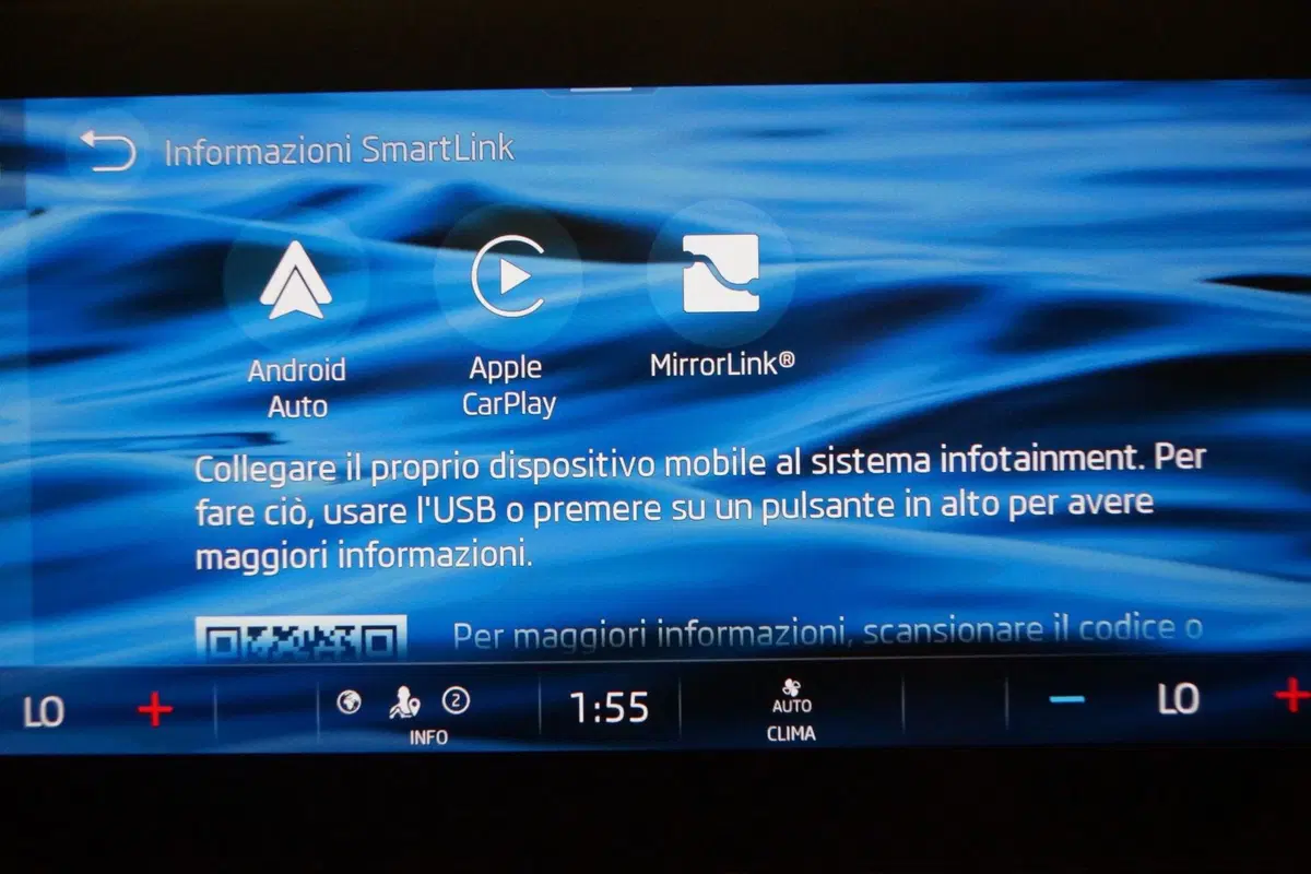 Skoda Octavia Station Wagon usata a Torino (18)