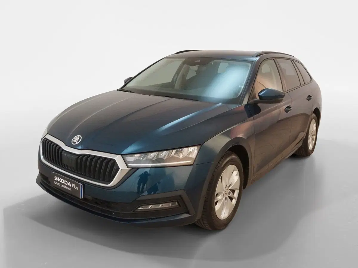 Skoda Octavia Station Wagon usata a Torino (3)