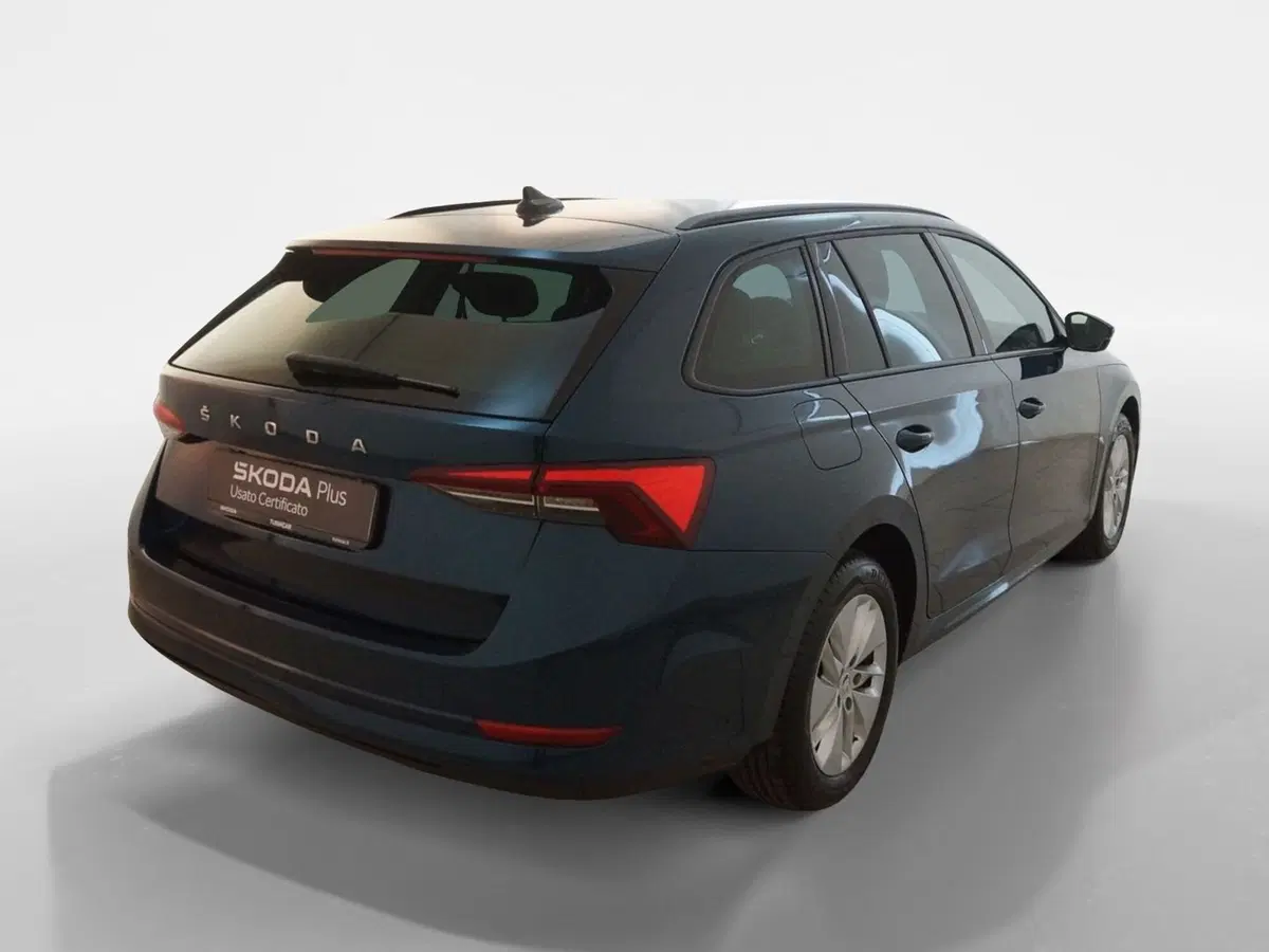 Skoda Octavia Station Wagon usata a Torino (6)