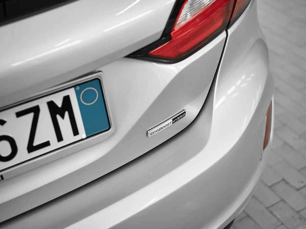 Ford Fiesta usata a Prato (7)