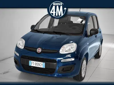 Fiat Panda 1.2 Pop del 2018 usata a Prato