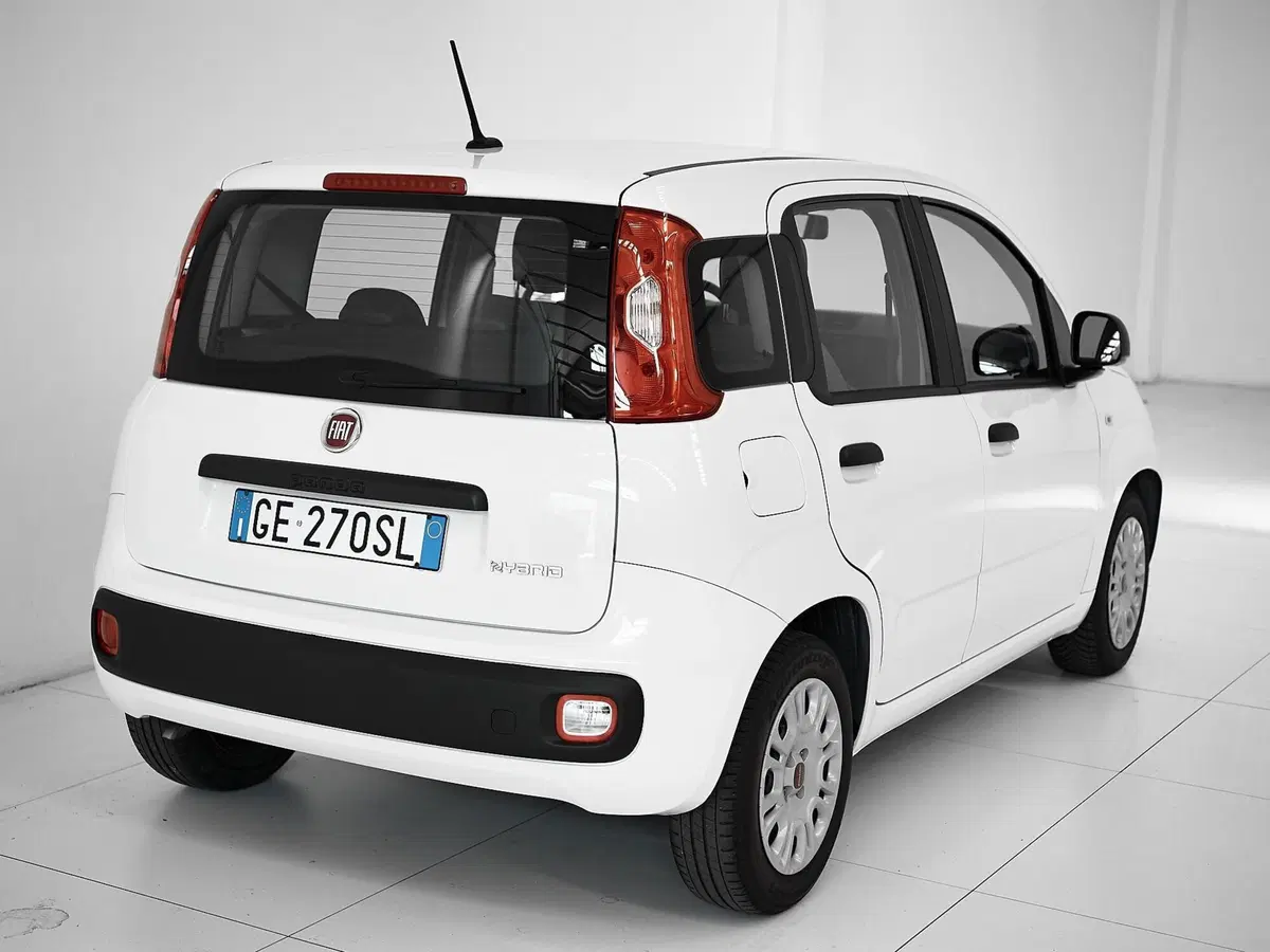 Fiat Panda Cross usata a Prato (8)