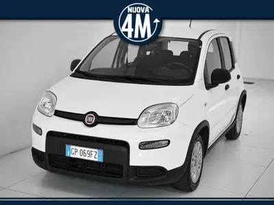 Fiat Panda Cross Cross 1.0 FireFly S&amp;S Hybrid del 2023 usata a Prato