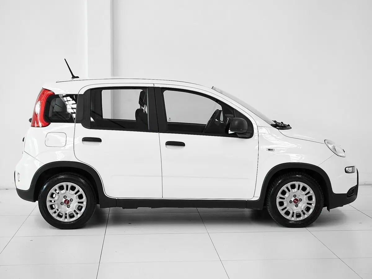 Fiat Panda Cross usata a Prato (6)