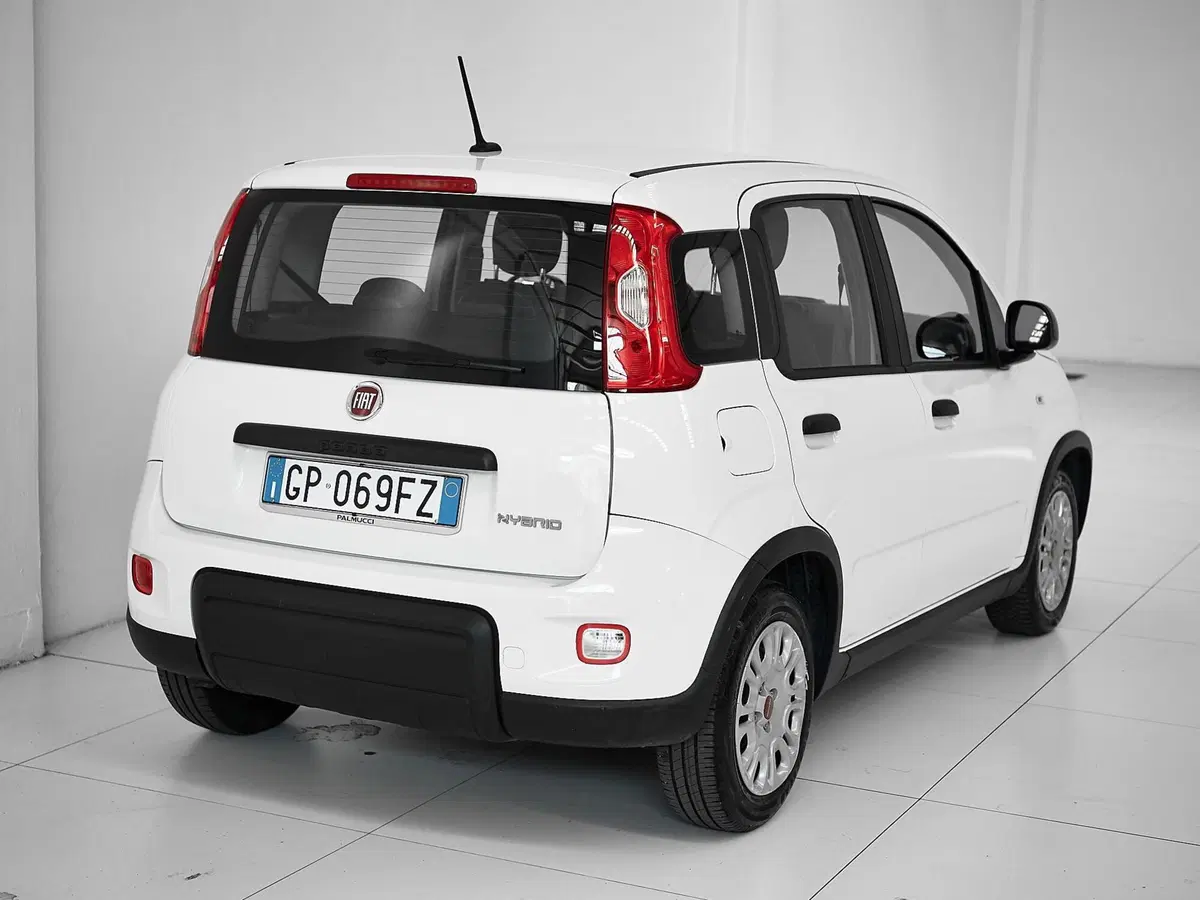 Fiat Panda Cross usata a Prato (7)