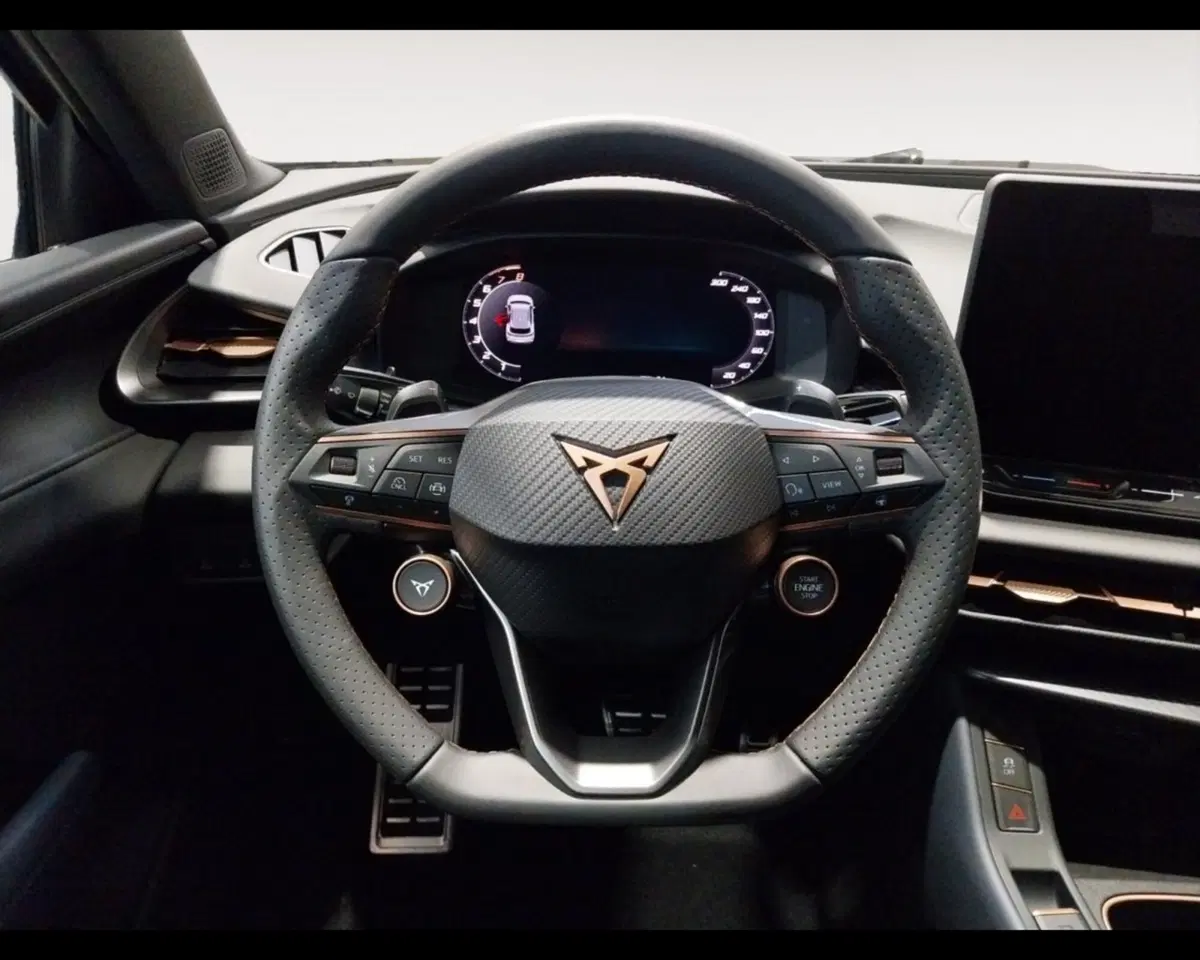 Cupra Terramar usata a Forlì-Cesena (12)