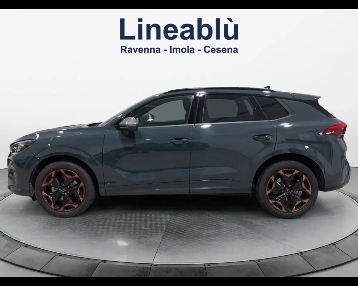 Cupra Terramar usata a Forlì-Cesena (2)