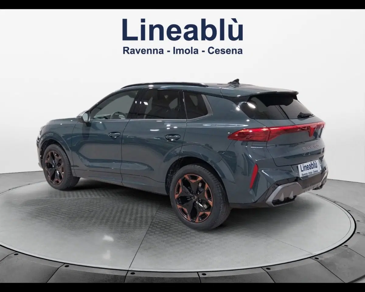 Cupra Terramar usata a Forlì-Cesena (3)