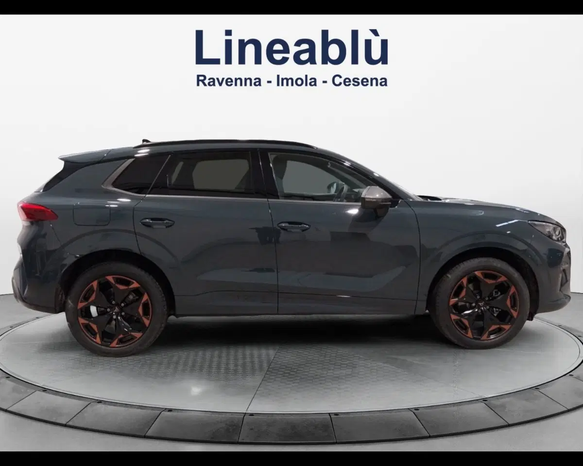 Cupra Terramar usata a Forlì-Cesena (6)