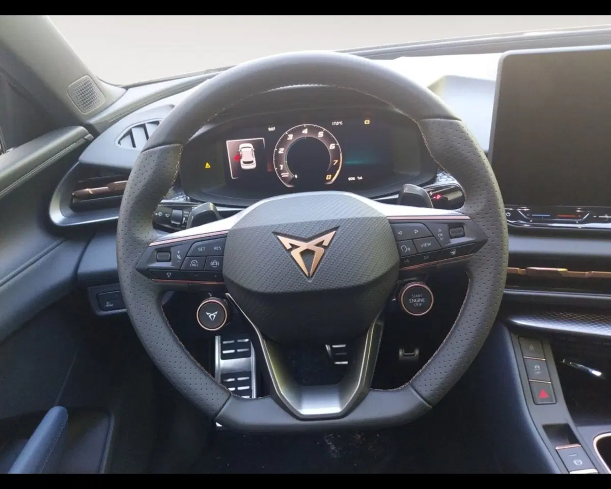 Cupra Terramar nuova a Forlì-Cesena (12)