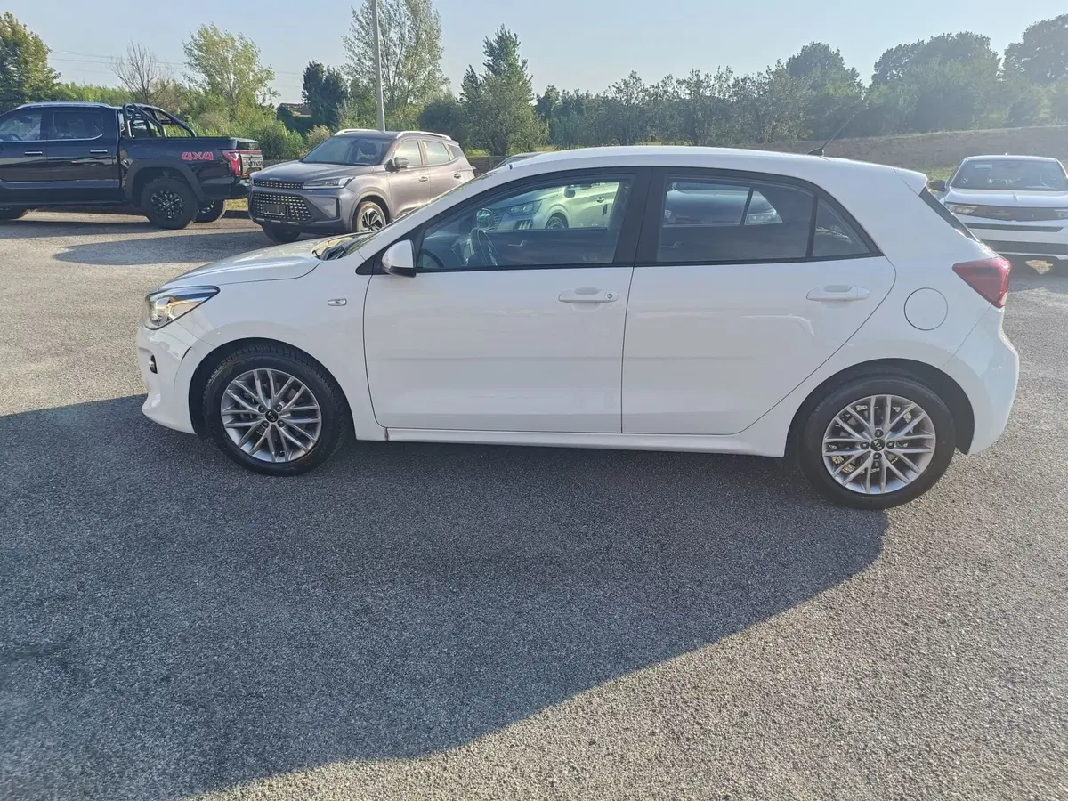 Kia Rio usata a Pistoia (5)