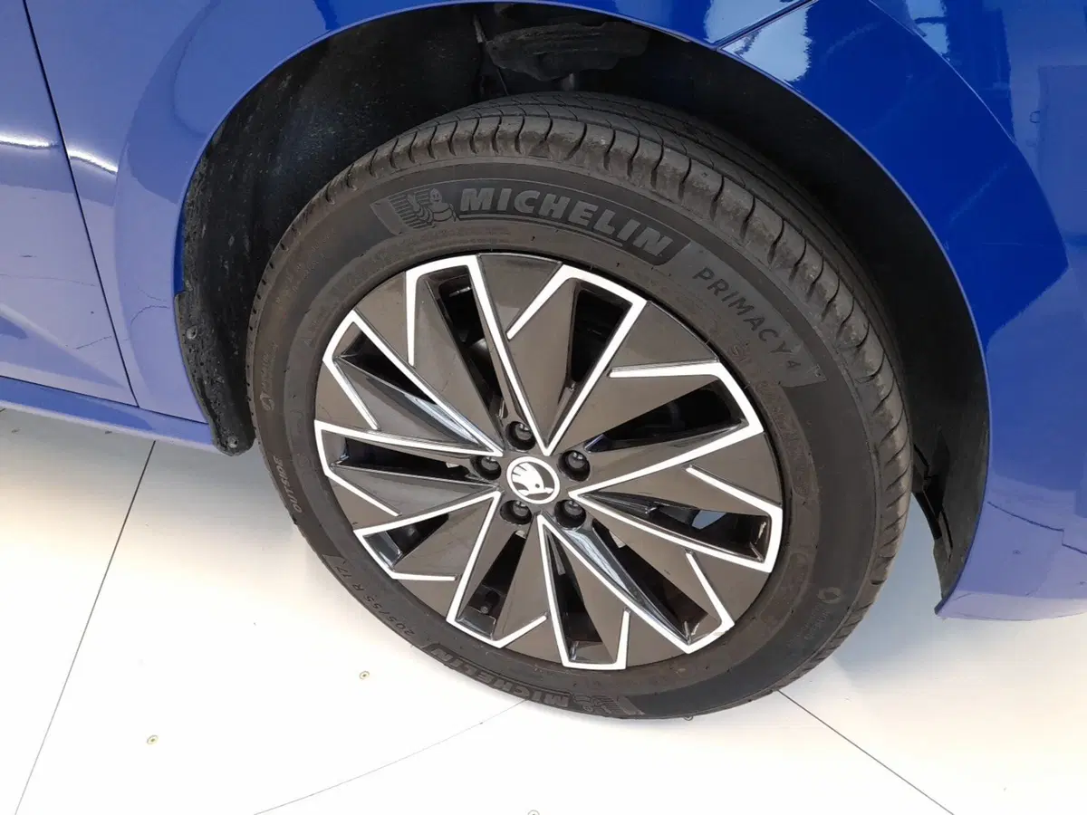 Skoda Kamiq usata a Bologna (7)