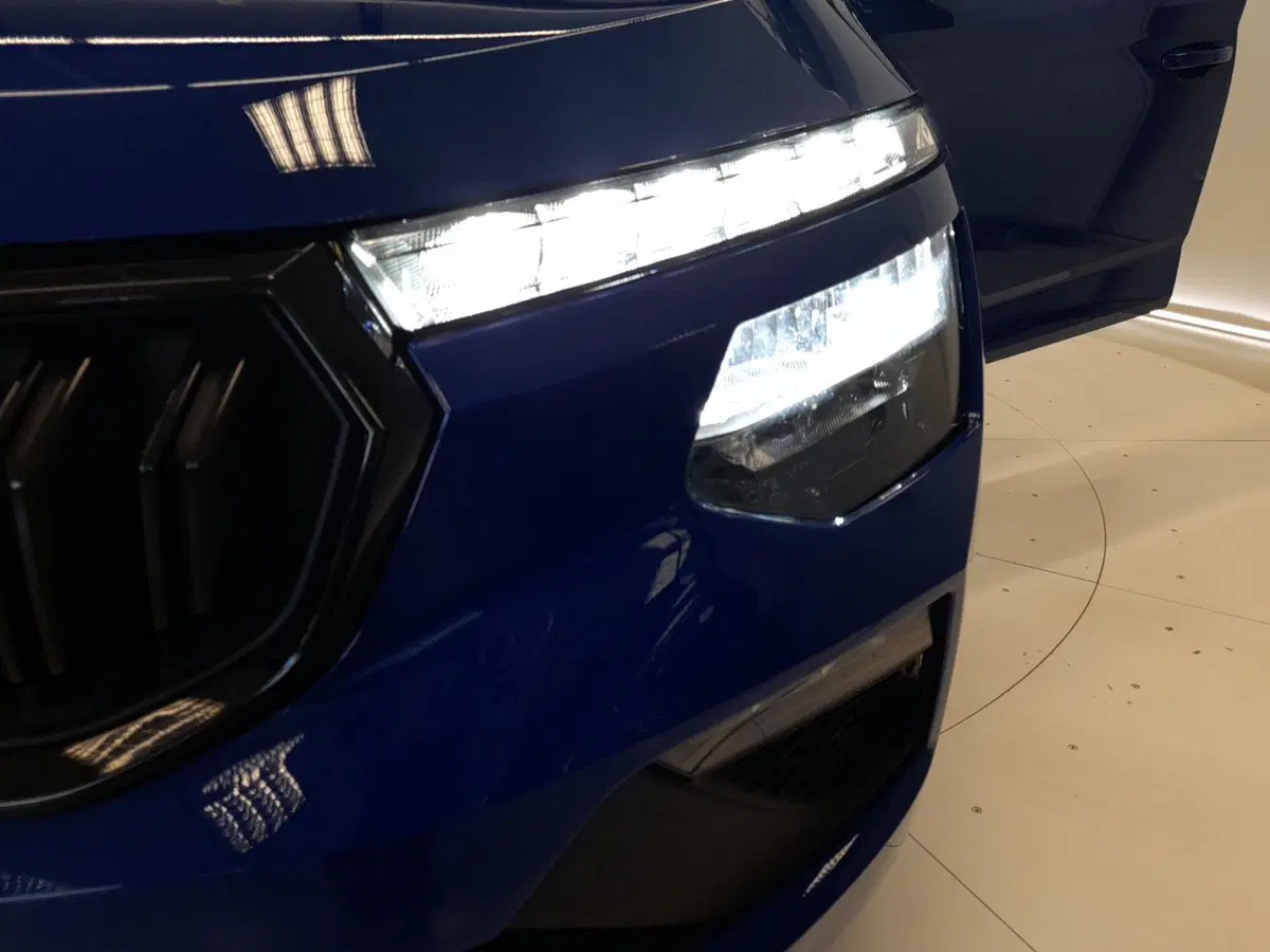 Skoda Kamiq usata a Bologna (8)