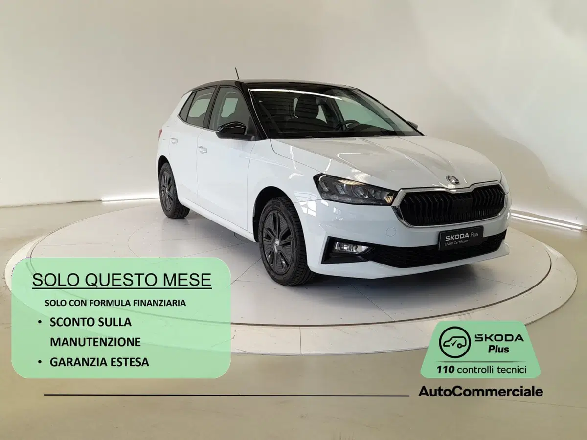 Skoda Fabia usata a Bologna