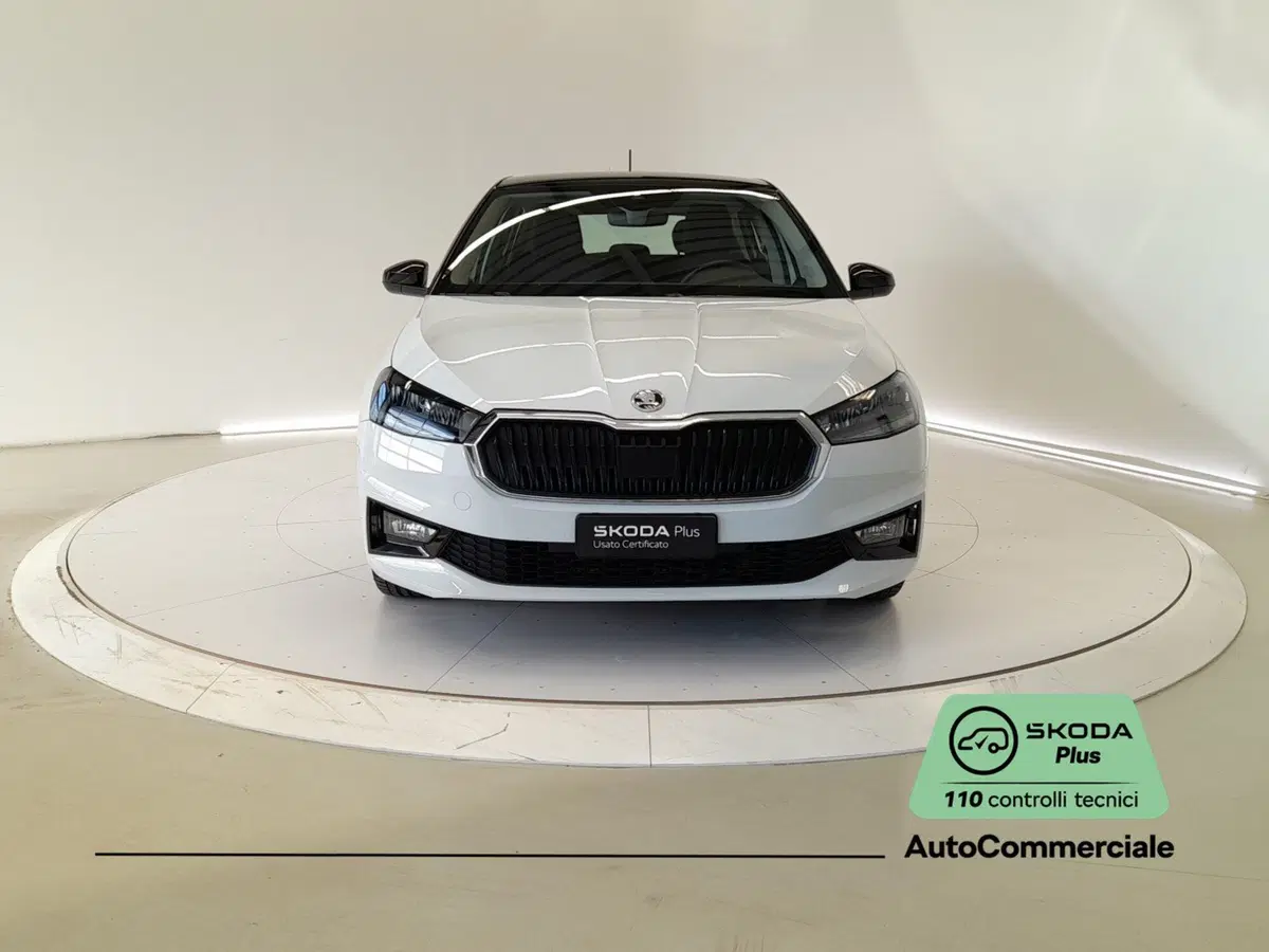 Skoda Fabia usata a Bologna (2)