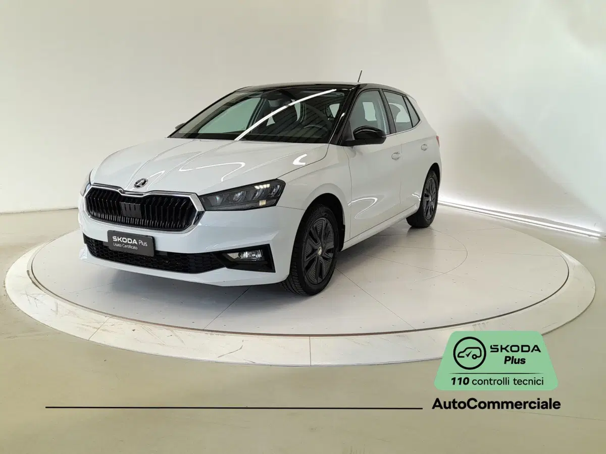 Skoda Fabia usata a Bologna (3)