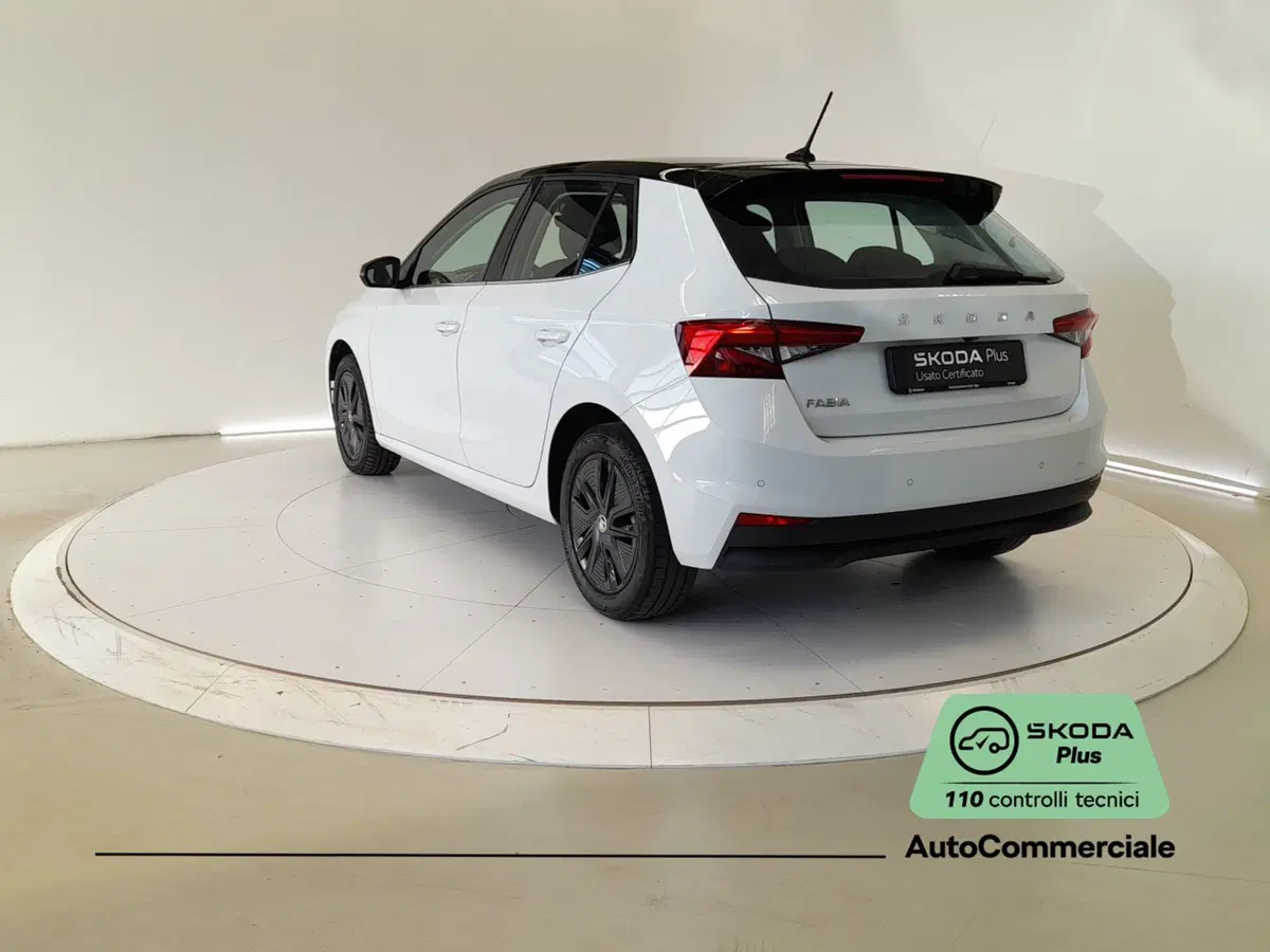 Skoda Fabia usata a Bologna (4)