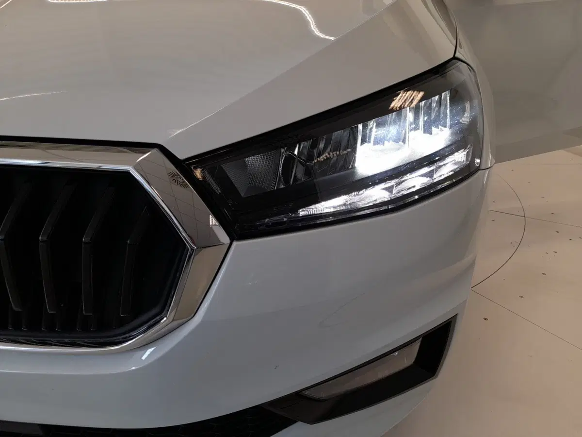 Skoda Fabia usata a Bologna (8)